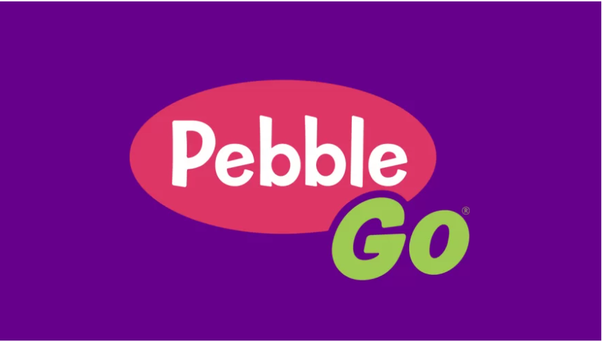 Pebble Go